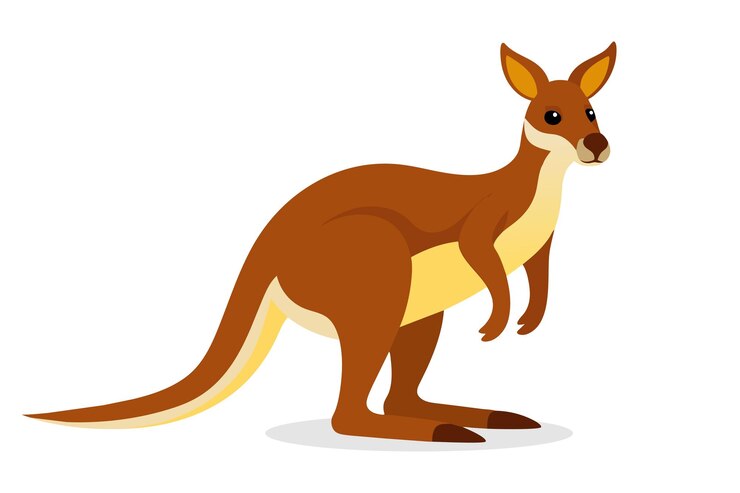 Kangaroo animal flat vector illustration on white background