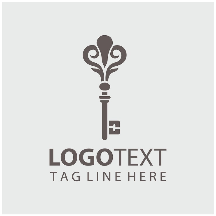 Vector key logo vector