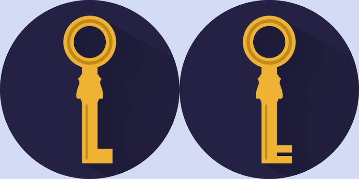 Vector key vector (17)