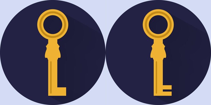 Vector key vector (17)