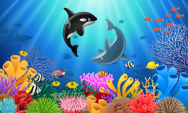 Killer whales and dolphin cartoon with underwater view and coral background Vector Illustration