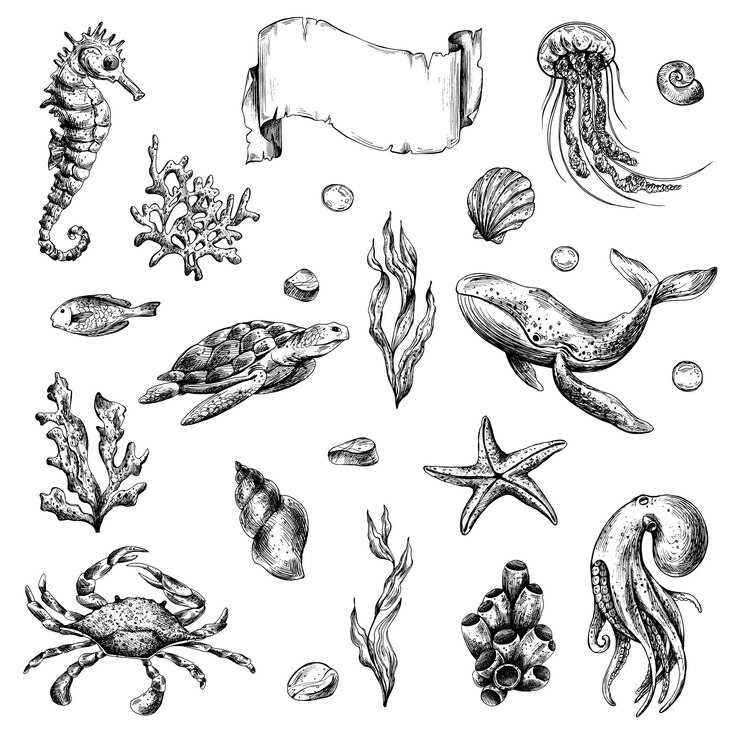 Vector klip seni dunia bawah laut dengan hewan laut paus kura-kura gurita kuda laut bintang laut kerang karang dan