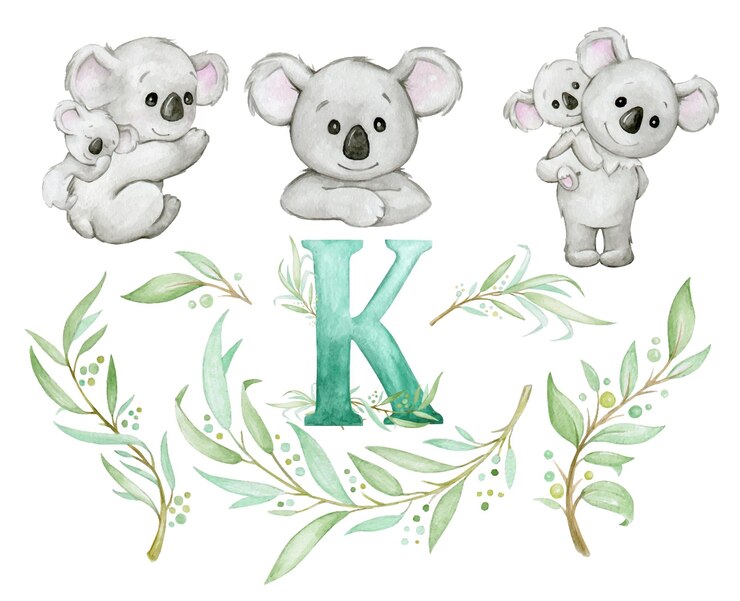Vector koalla plants watercolor set cute tropical animals in cartoon style on an isolated background
