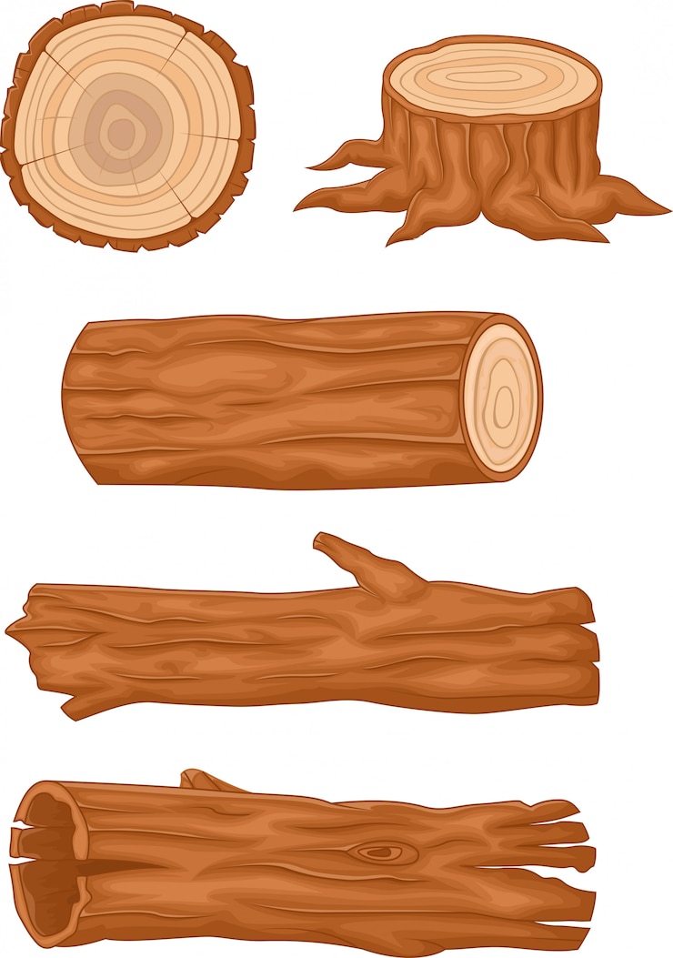 Vector koleksi batang kayu