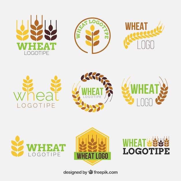 Koleksi logo gandum datar