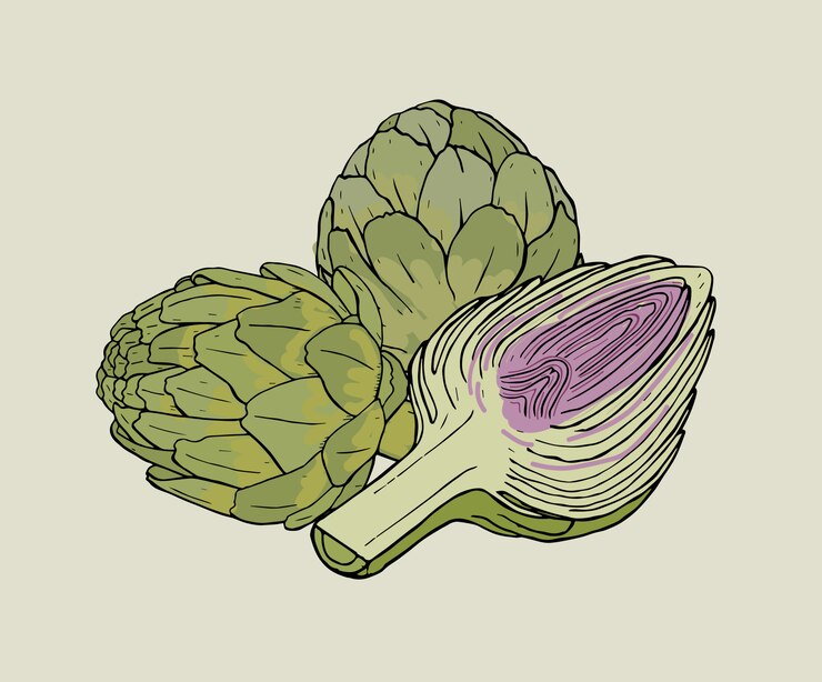 Vector komposisi terisolasi yang digambar tangan artichoke dengan tanaman utuh dan dipotong. ilustrasi berwarna-warni.