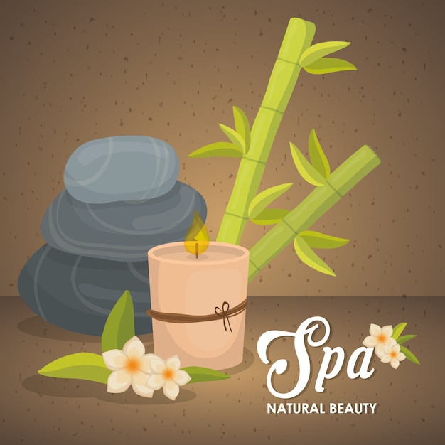 Konsep pusat spa