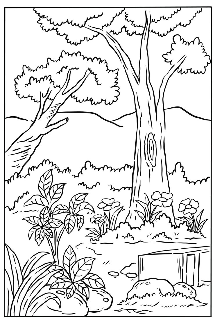 Vector landscape coloring page vector