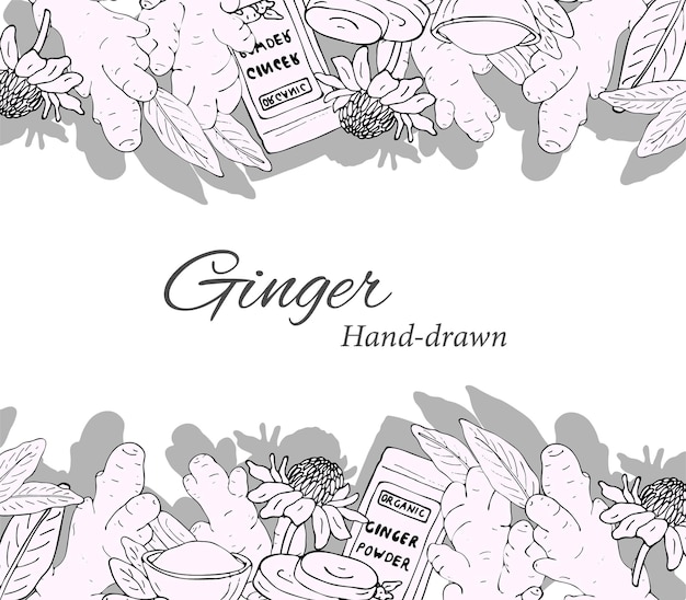 Latar belakang yang digambar tangan dari set jahe, bunga jahe, akar jahe, bubuk jahe, dan jahe yang diiris