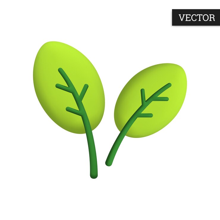 Leaf of tree 3d icon in cartoon style Green leaves Design element