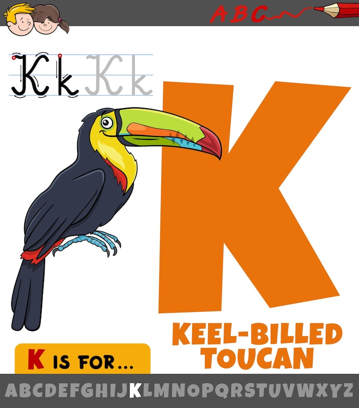 Vector letter k from alphabet with cartoon keel billed toucan animal character