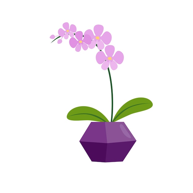 Lilac orchid in a geometric pot