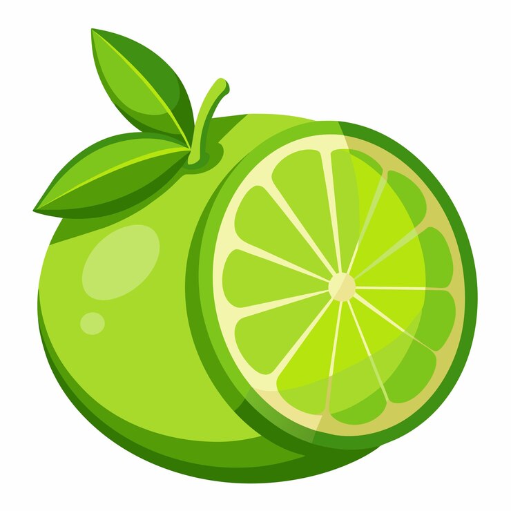 Vector lime vector art illustration 20