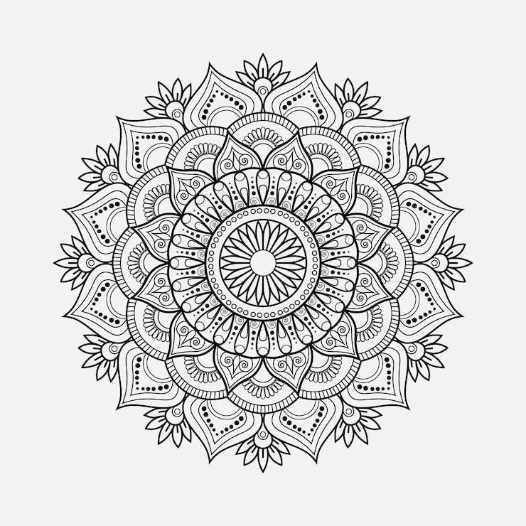 Vector lineal floral mandala creative ornamental decorative element circle shape vector illustration