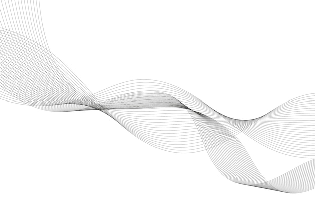 Lines for the Background Black Stripes on a White Background Curved Wavy Line Smooth Stripe