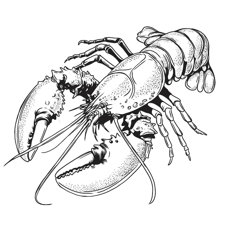 Vector lobster ink sketch style engraving imitation hand drawn lobster or cancer for seafood restaurant