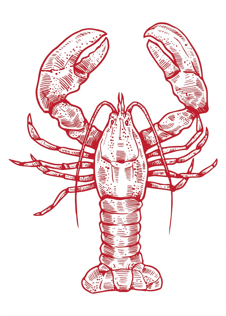 Vector lobster  