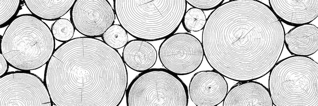 Log cut vector banner tree rings pattern