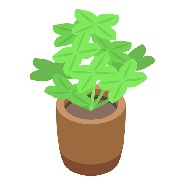 Luck plant pot icon Isometric of Luck plant pot vector icon for web design isolated on white background