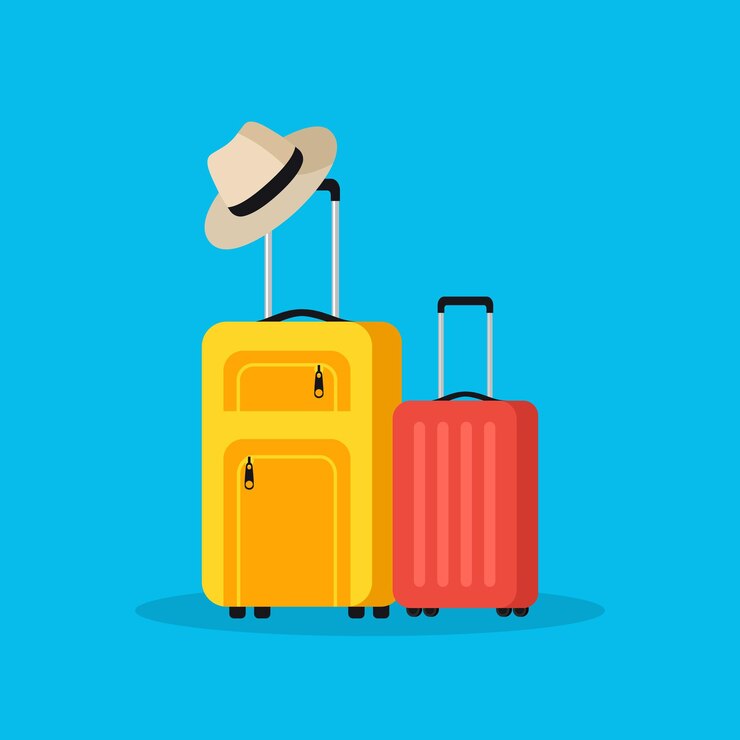 Vector luggage and summer hat baggage