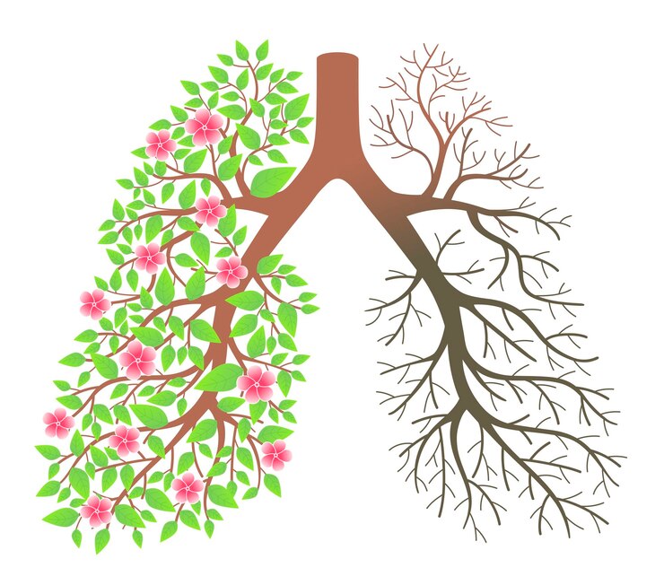 Vector lungs effect after smoking and disease