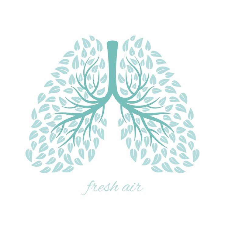 Vector lungs with foliage. healthy ecological lungs with leaves anti tuberculosis concept   illustration