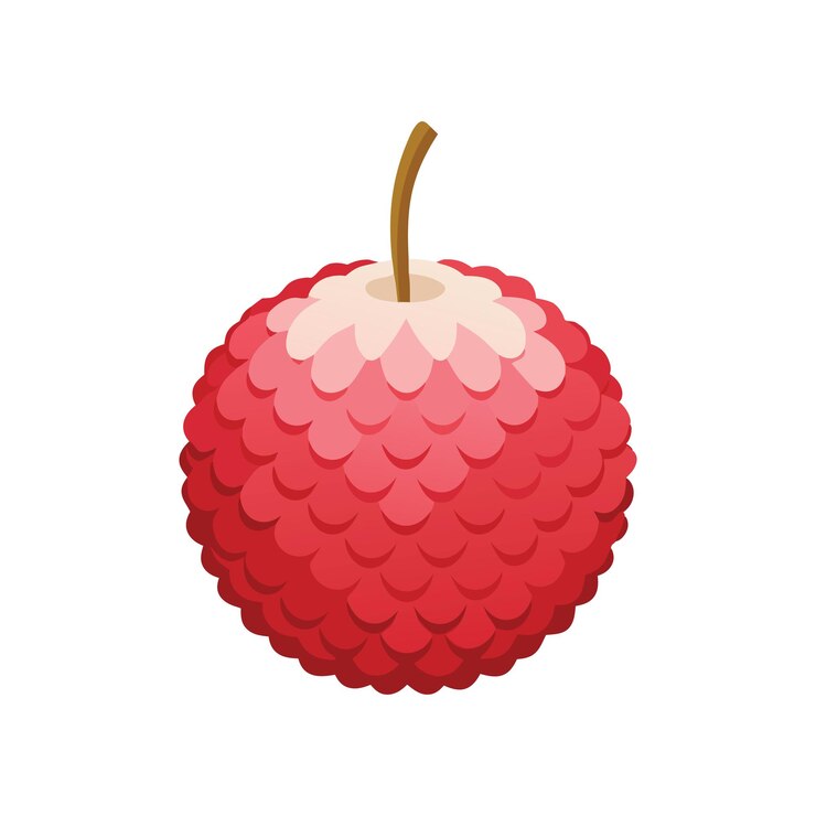Vector lychee fruit flat vector illustration on white background