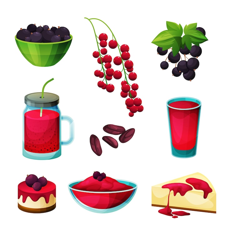 Vector makanan dan produk buah currant, permen blackcurrant dan redcurrant