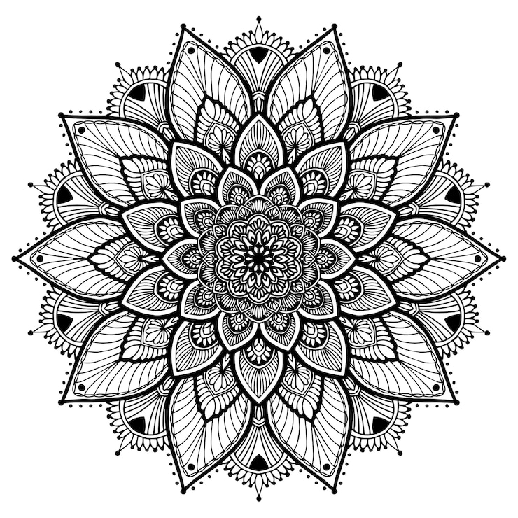 Vector mandalas coloring book