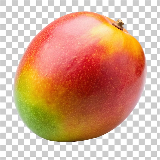 Mango leaves with Clipping Path isolated on a PNG white background Mango collection