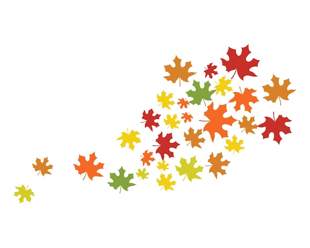 Maple leaf vector illustration