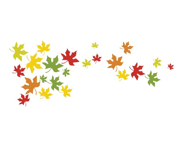 Maple leaf vector illustration