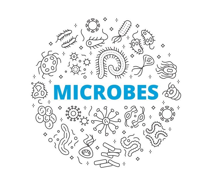 Vector microbes line icons collection of symbols circular composition vector illustration