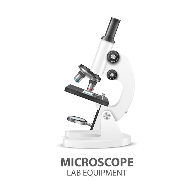 Vector microscope parts structure anatomy vector 3d realistic white laboratory microscope isolated on white chemistry biology tool science lab research education infographics design template