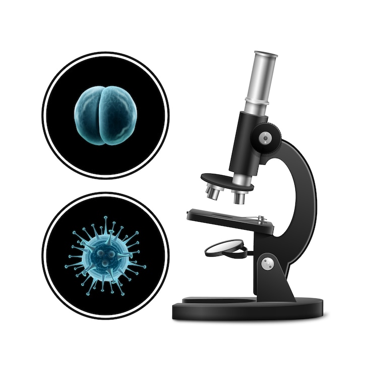 Vector microscope with bacteria