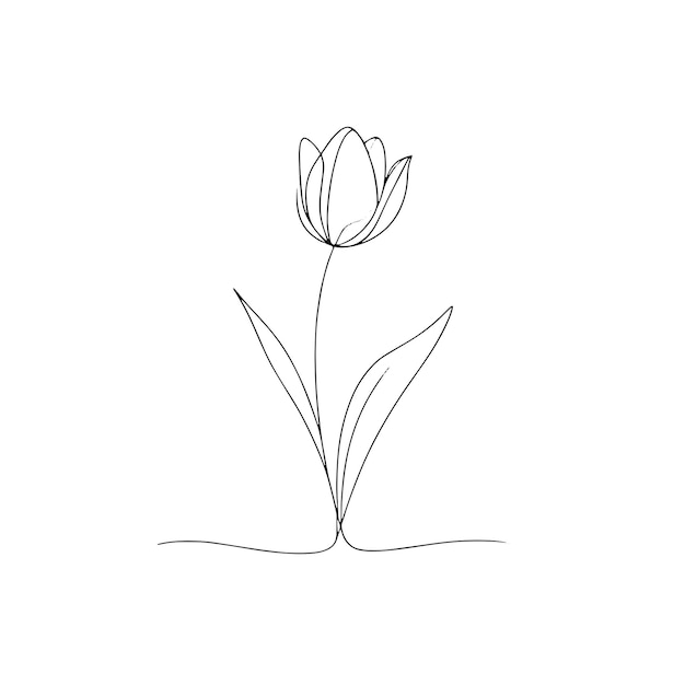 minimal handdrawn single line vector illustration tulip flower stem leaves