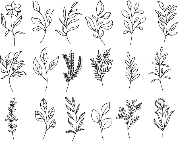 Minimalist Botanical Floral Line Art Clipart
