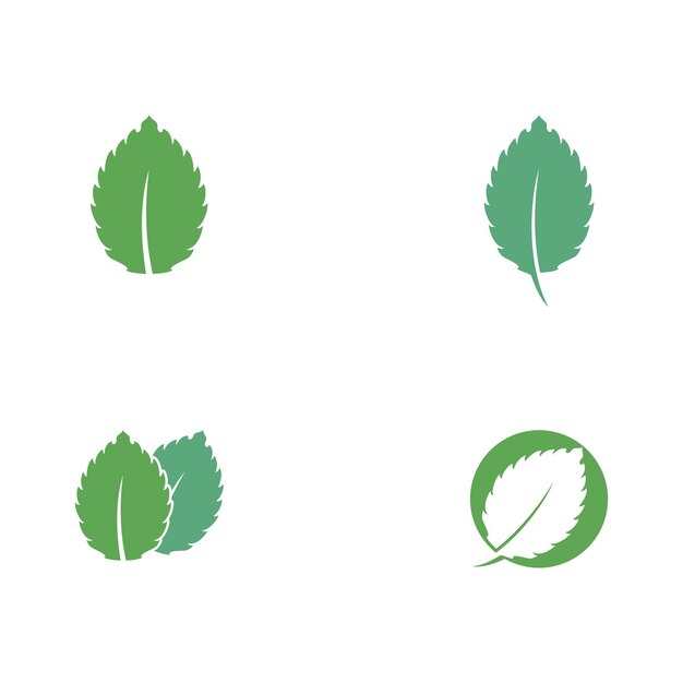 mint leaf vector icon illustration