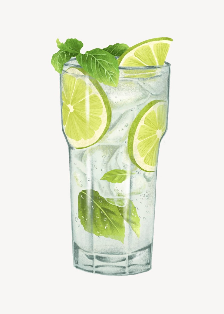 Vector mojito cocktail alcoholic drinks illustration vector