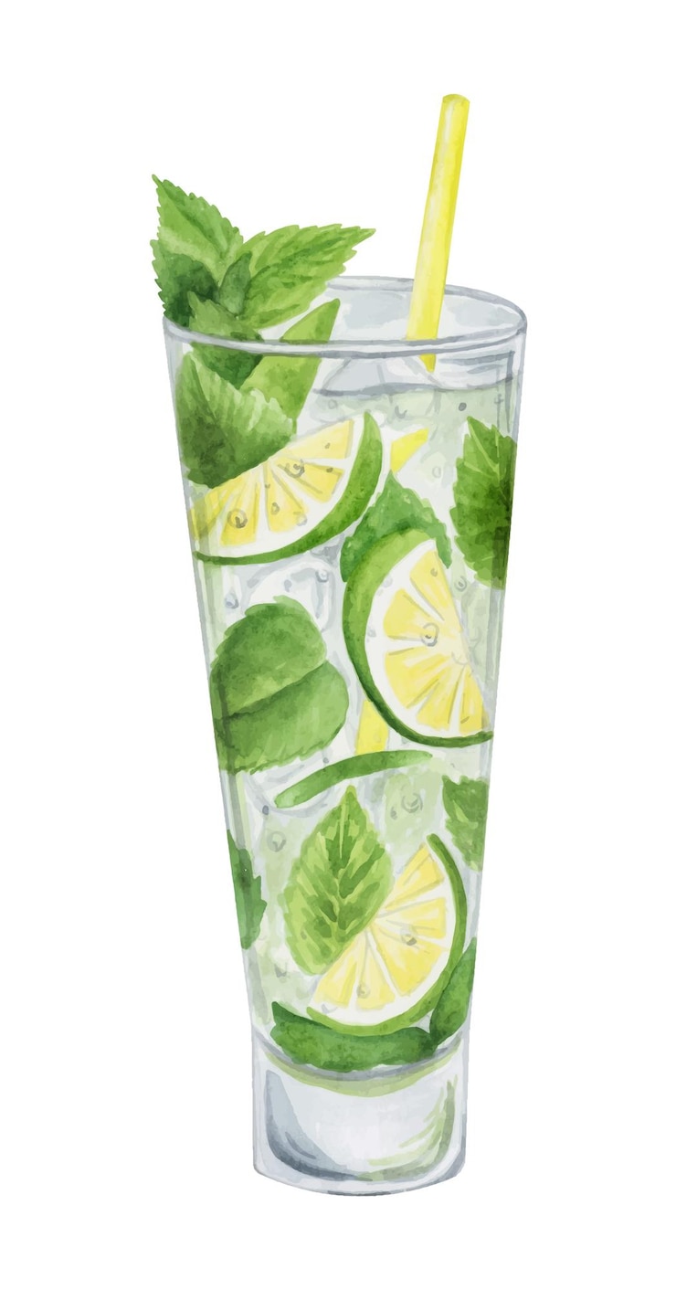 Vector mojito cocktail watercolor hand drawn illustration drink clipart on white background