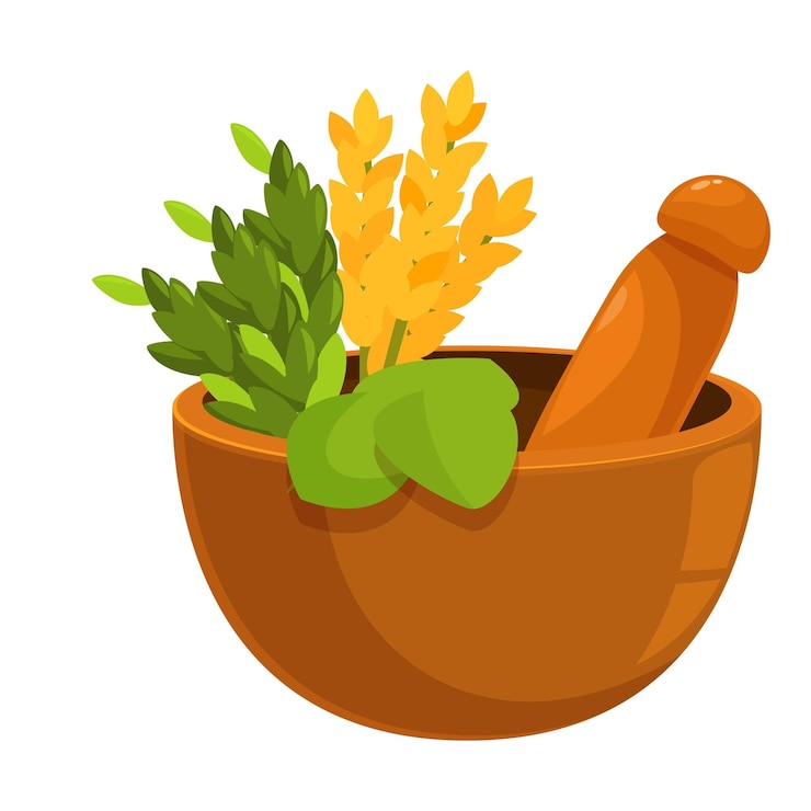 Vector mortar and pestle crushing herbs for traditional medicine preparation
