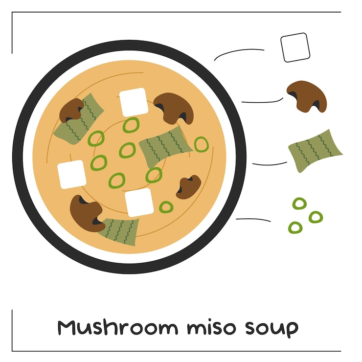 Vector mushroom miso soup recipe illustration with ingredients
