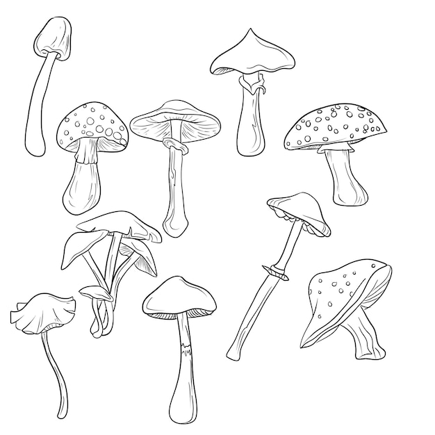 Mushroom plant set vector design