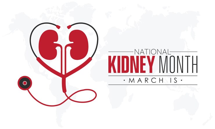 Vector national kidney month health awareness campaign on the importance of the kidneys observed on every march