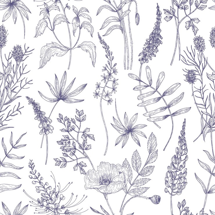 Vector natural seamless pattern with wild blooming flowers and flowering herbs drawn with contour lines on white surface