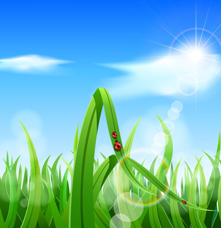 Vector nature background with green grass and flowers and blue sky