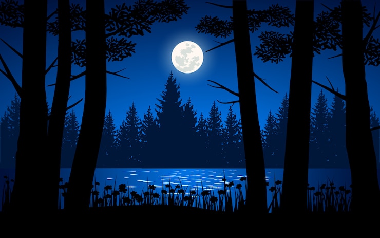 Vector night time in forest with silhouette of trees and full moon