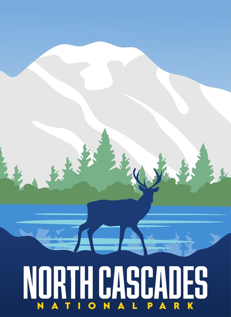 Vector north cascades national park with beautiful views