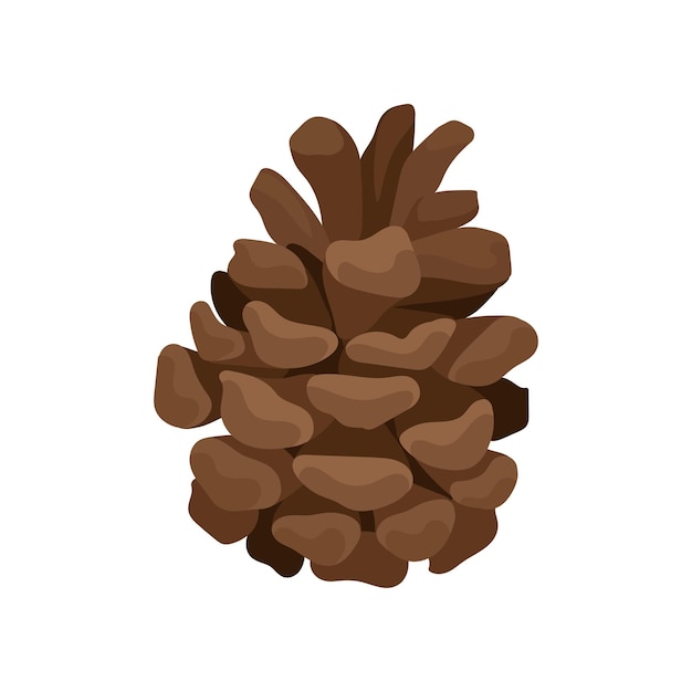 Open fir cone Vertical vector illustration on a white background