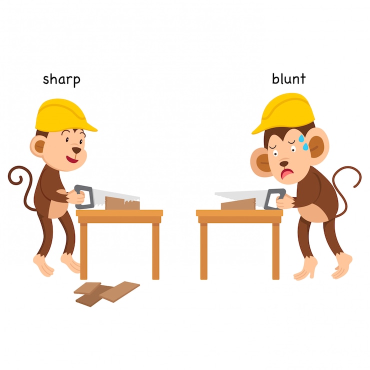 Vector opposite sharp and blunt vector illustration